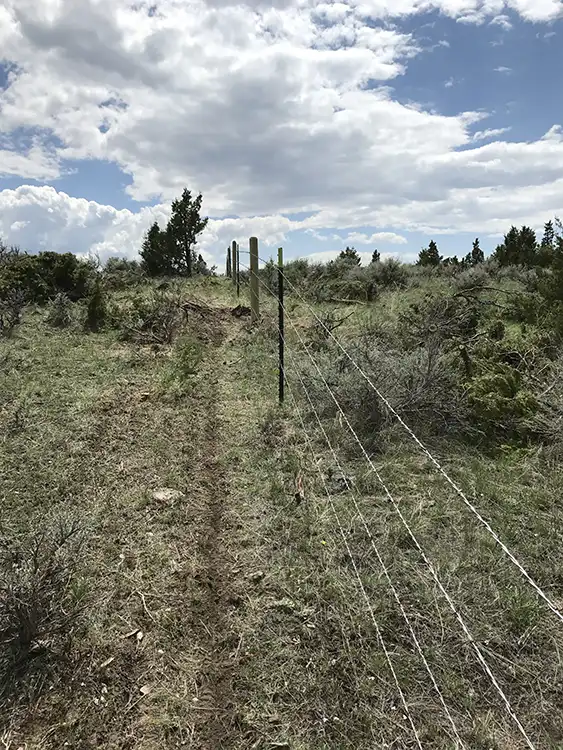 Pasture Fence Flying O 1.