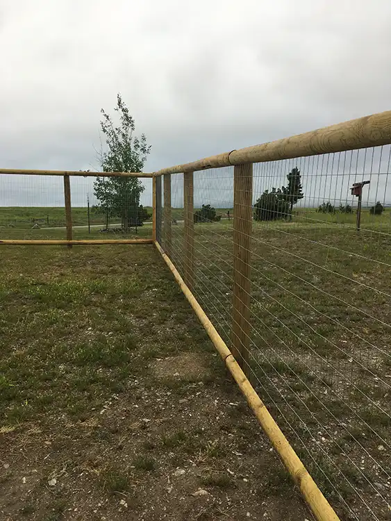 Pasture Fence Flying O 2.