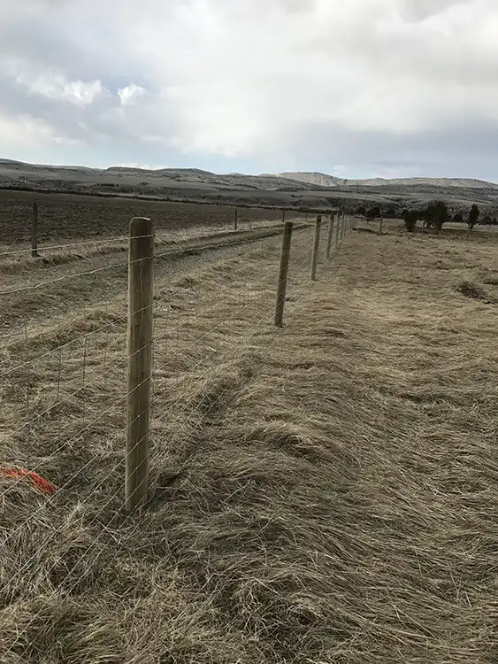 Pasture Fence Flying O 3.